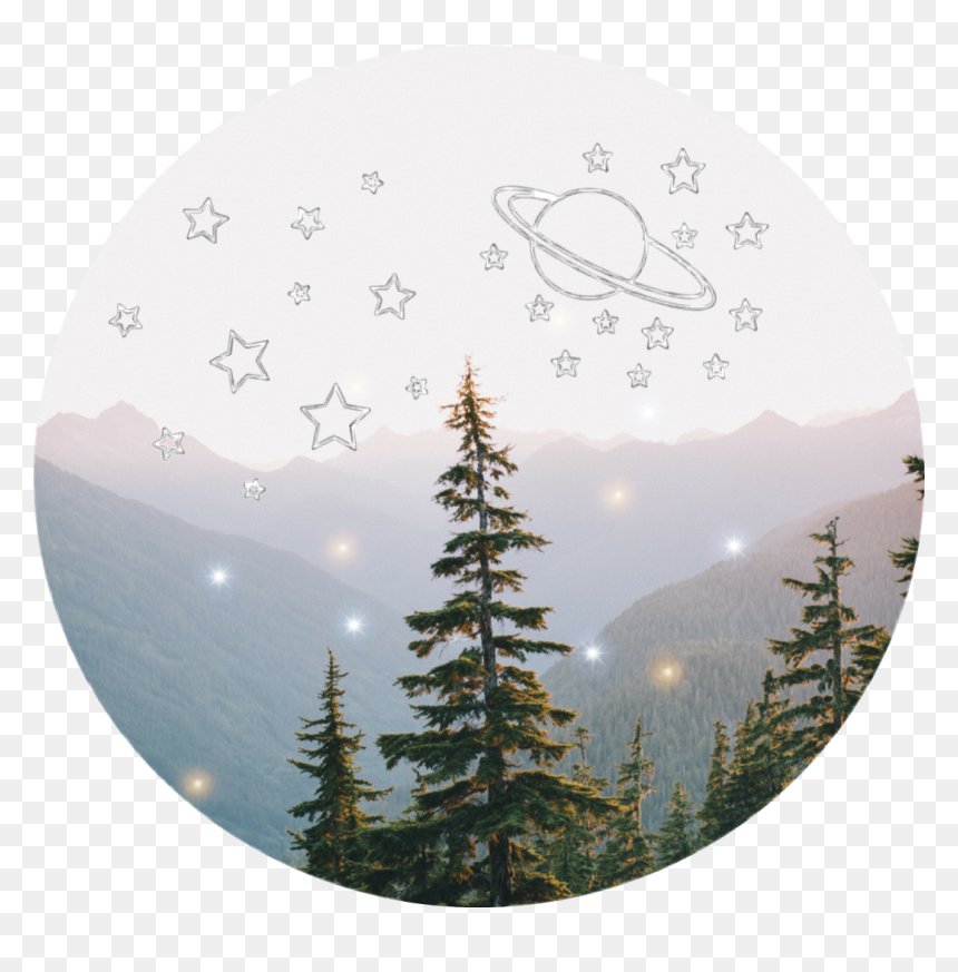 Nature Photography, HD Png Download - pinos png