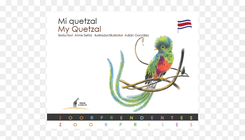 Quetzal - Budgie, HD Png Download - quetzal png
