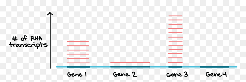 Genes Png , Png Download - Paper Product, Transparent Png - genes png