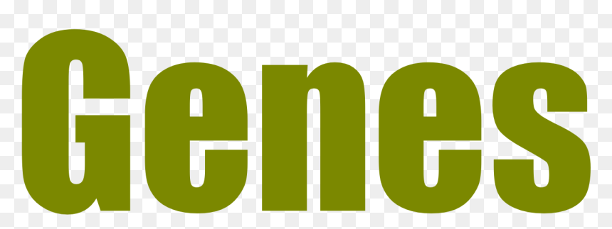 Graphic Design, HD Png Download - genes png