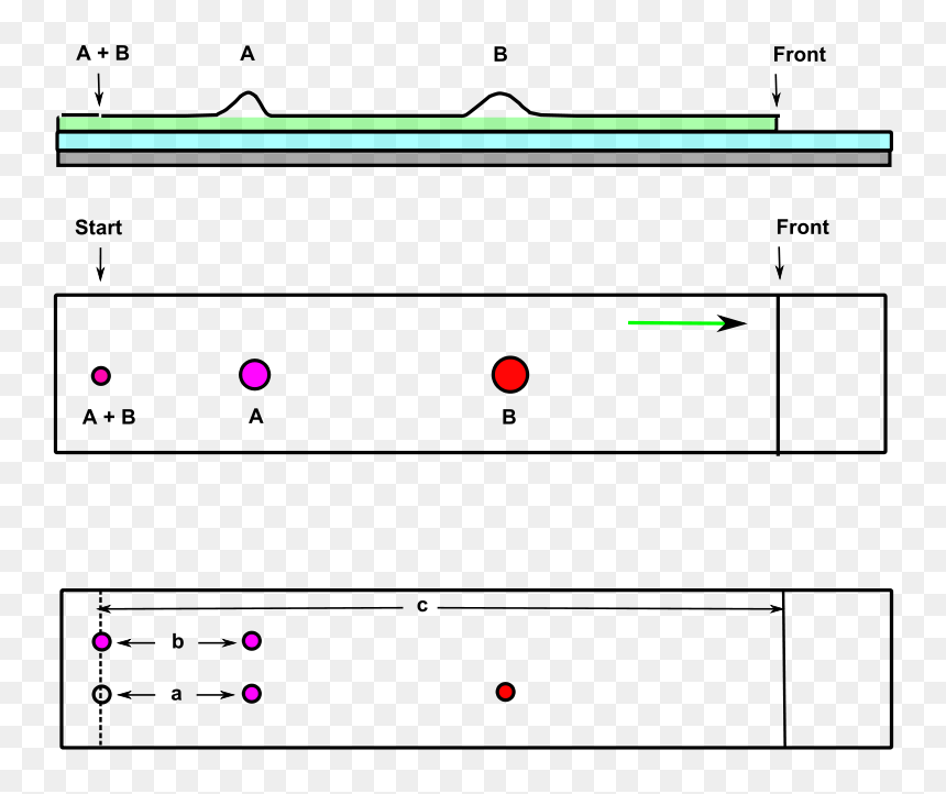 Principle Of Partition Chromatography, HD Png Download - chrom png