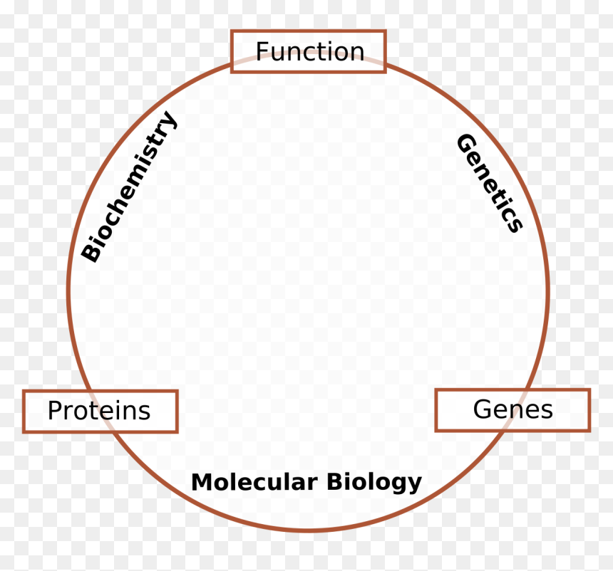 Molecular Biology, HD Png Download - genes png