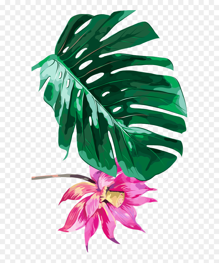 Tropical Palm Tree Background, HD Png Download - 5.png