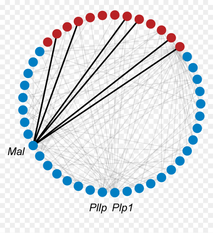 Genewalk Subnetwork Of Three Input Genes - Swarovski Blue And White Necklace, HD Png Download - genes png
