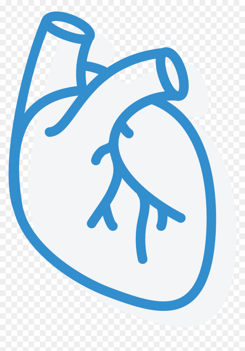Cardiology Icon - Emblem, HD Png Download - genes png