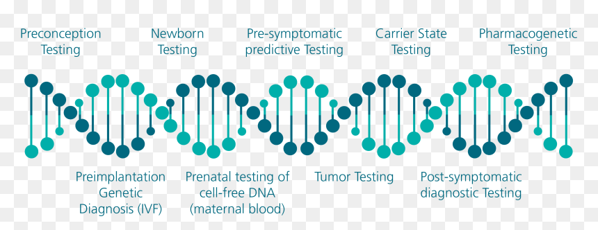 Genetic Testing Done, HD Png Download - genes png