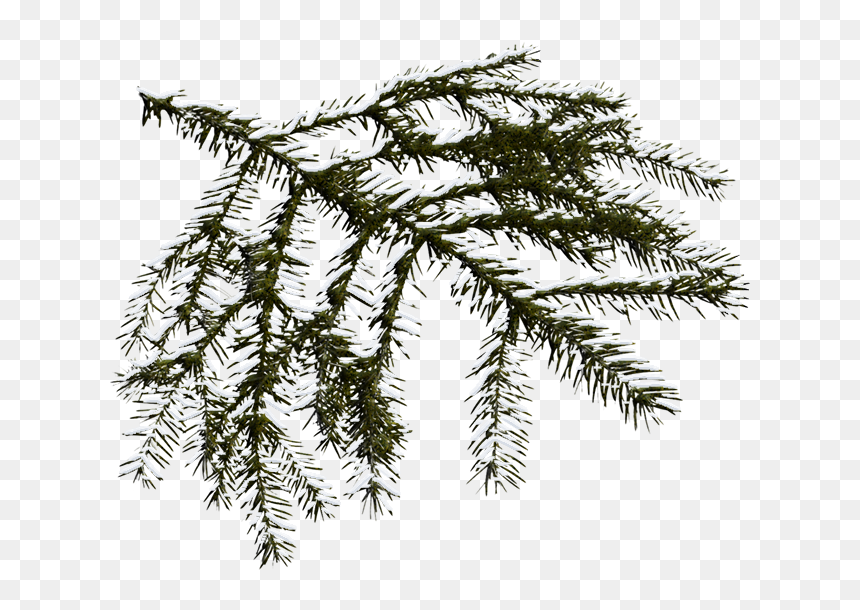 Adornos De Navidad , Png Download - Farm Fresh Christmas Trees T Shirt, Transparent Png - adornos de navidad png