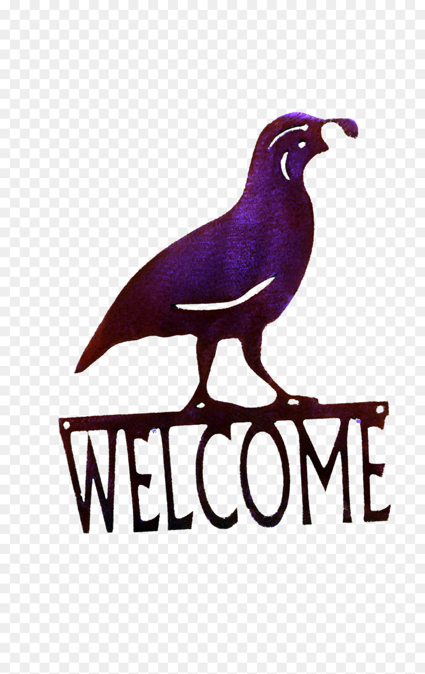 Quail Welcome-small Larger Image - Clip Art, HD Png Download - quail png