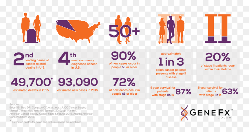 Colon Cancer Statistics , Png Download - Google Flu Trends, Transparent Png - colon png