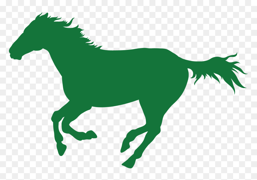 Campaign Winner Of 4 Races In San Isidro And La Plata - Jumping Horse, HD Png Download - dia de las madres png