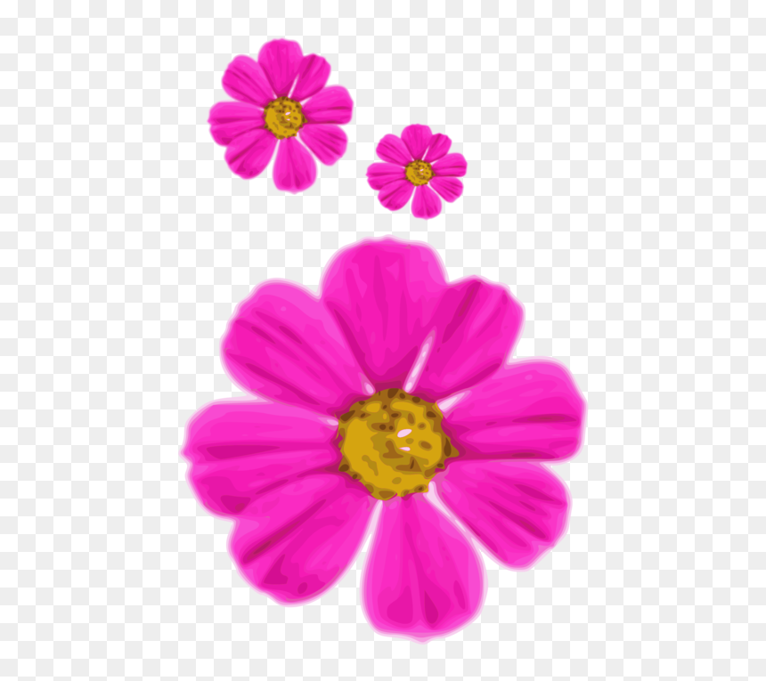 Pink,flower,garden Cosmos - Flower, HD Png Download - cosmos png