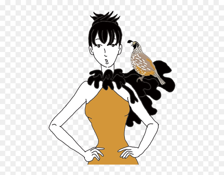 Quail - Illustration, HD Png Download - quail png