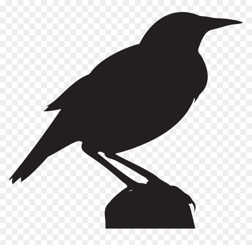 Flying Silhouette At Getdrawings Com Free For - Meadowlark Silhouette, HD Png Download - quail png
