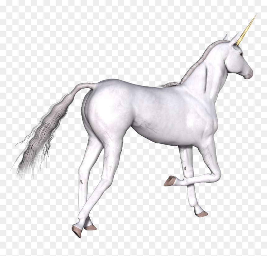 Unicornio Blanco Pata Derecha Arriba - Unicorn, HD Png Download - unicornios png