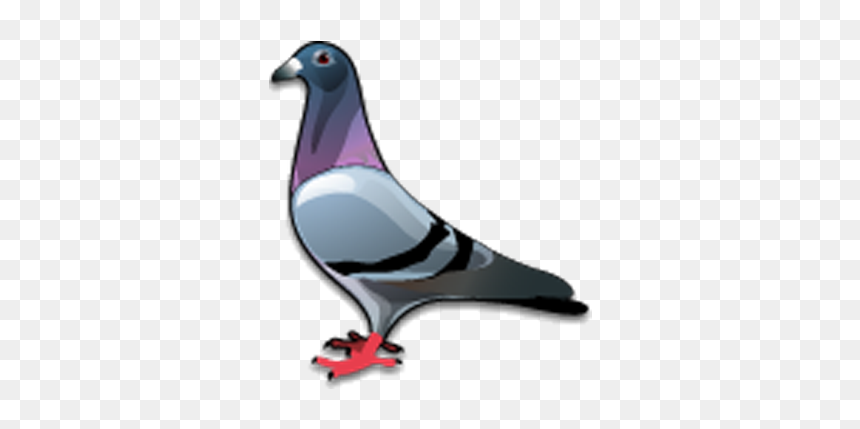 Stock Dove Bird Columbidae Icon - Pigeon Icon Png, Transparent Png - dove icon png