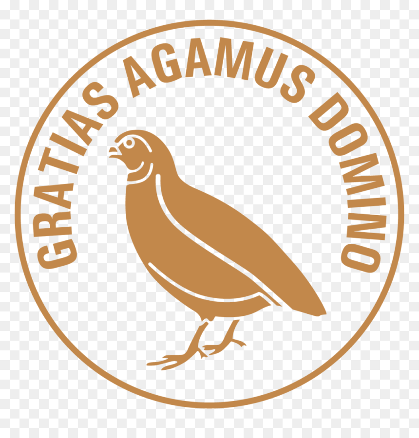 Quail For Candle Image - Turkey, HD Png Download - quail png