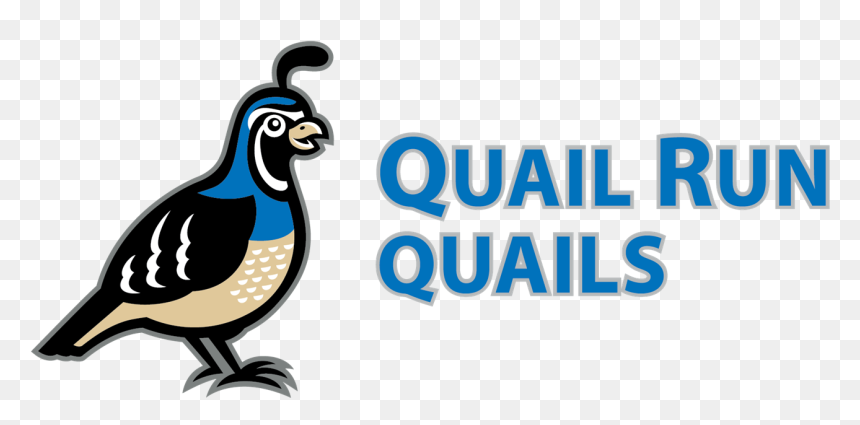 About Quail Run - Quail Run Elementary School, HD Png Download - quail png
