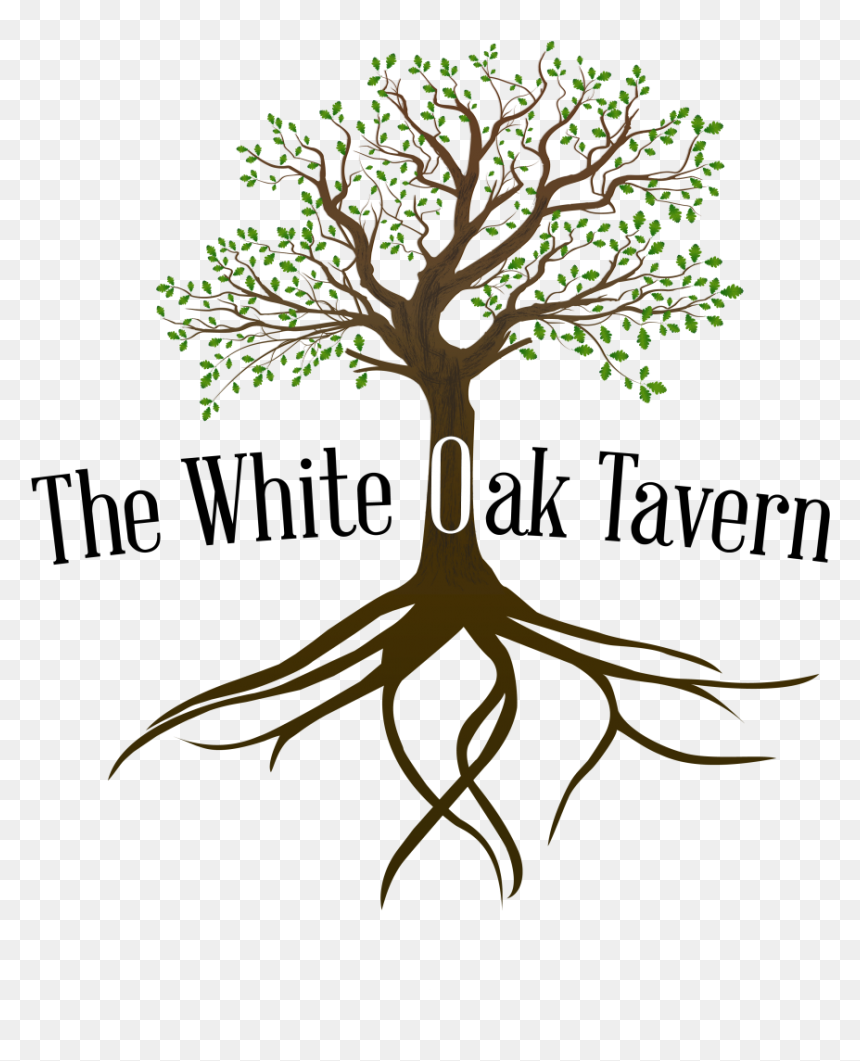 Tree With Roots Png, Transparent Png - oak png