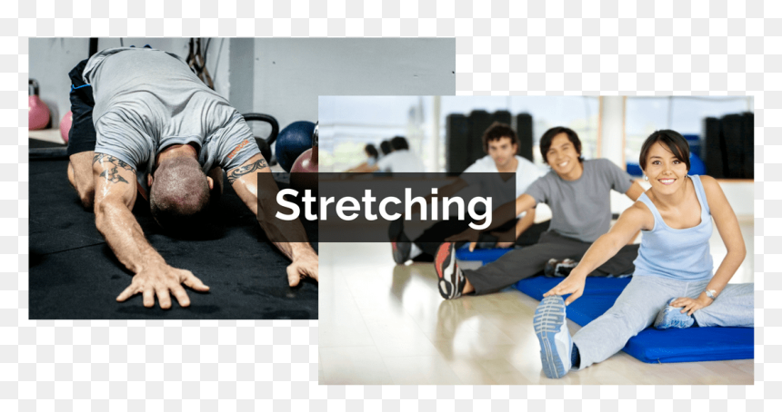 Stretching Dynamic Static - Health And Fitness, HD Png Download - stretching png
