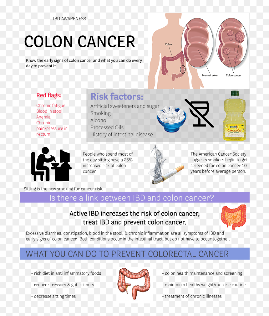 The Colon Or Large Intestine Is The Last Part Of The, HD Png Download - colon png