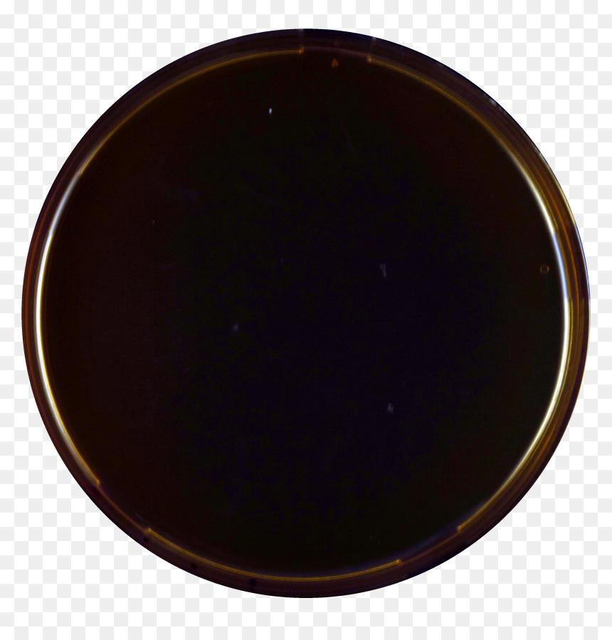 Aspergillus Appendiculatus Meaox - Circle, HD Png Download - platter png