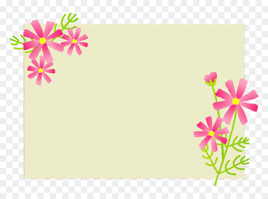 Cosmos Flower Message Card Clipart - African Daisy, HD Png Download - cosmos png