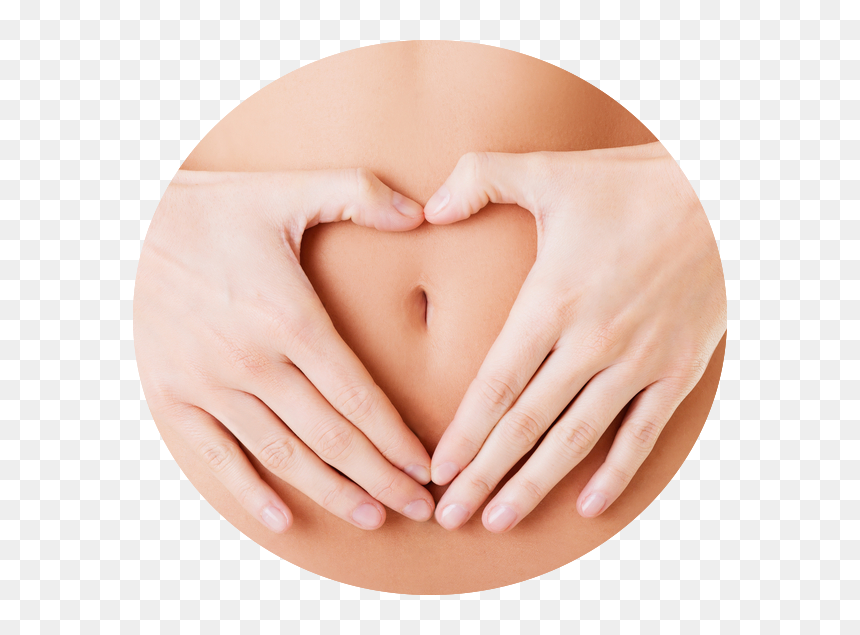 Feel Healthy, Light, Clean & Full Of Energy With Colon - Fisioterapia Saude Da Mulher, HD Png Download - colon png