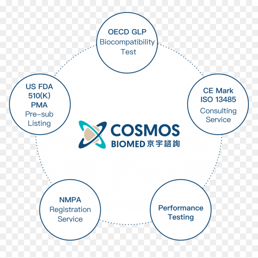 マーケティング 研究 開発 役割, HD Png Download - cosmos png