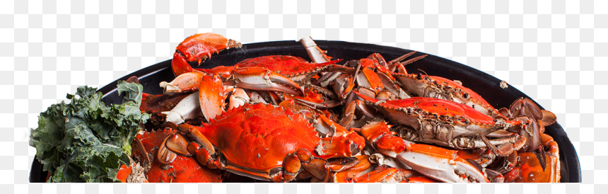 Portable Network Graphics, HD Png Download - crabs png
