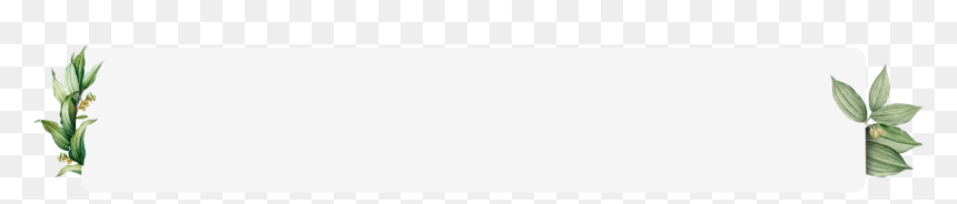 Monochrome, HD Png Download - barra png