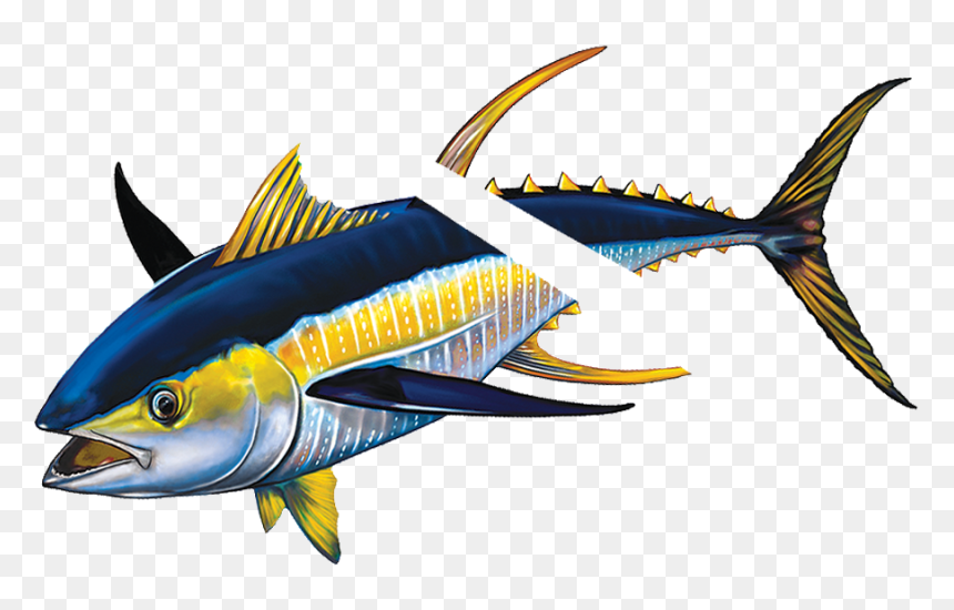 Porc-tn43r Tuna With Split Reverse - Yellowfin Tuna, HD Png Download - reverse png