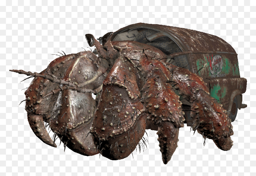 Hermit Crab Png - Hermit Crab, Transparent Png - crabs png