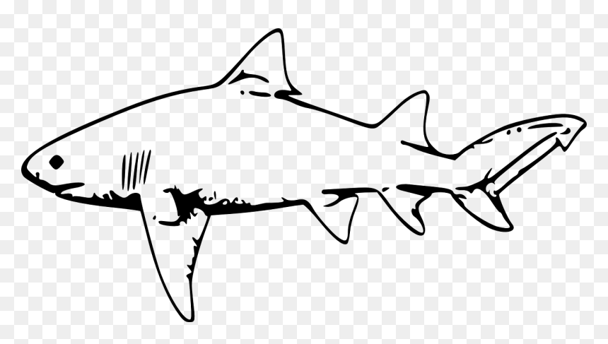 Lemon Shark Clipart, HD Png Download - stark png