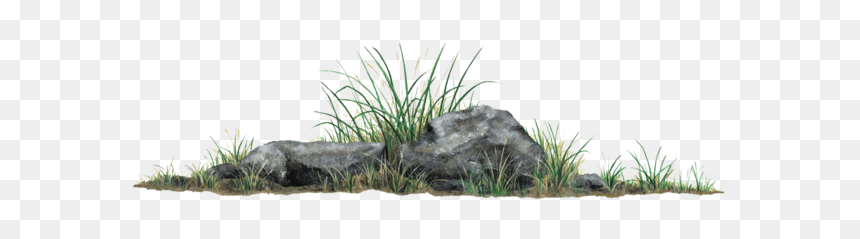 Rock Grass Plant Wall Decal Sticker - Wall Stickers Grass And Rock, HD Png Download - rock wall png