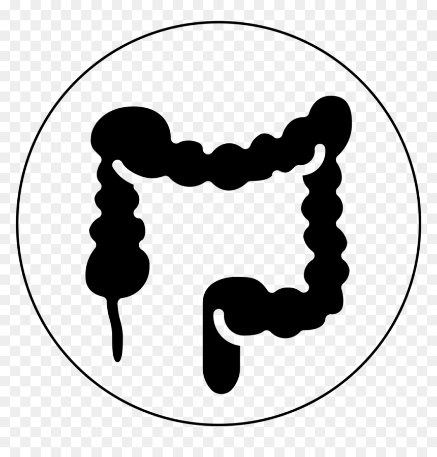 Icon Colon Black-01 - Portable Network Graphics, HD Png Download - colon png