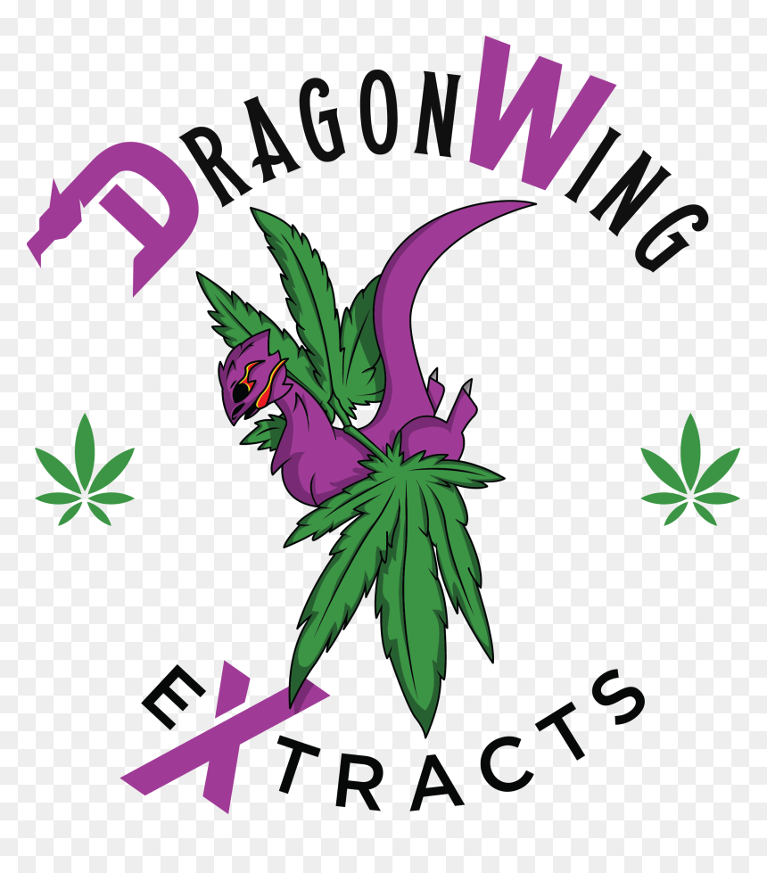 Cumbres International School Guadalajara, HD Png Download - dragon wing png