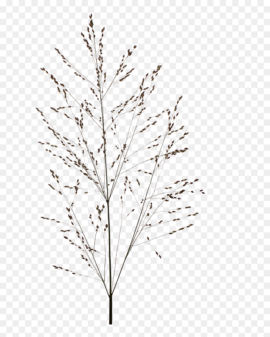 Christmas Tree, HD Png Download - heavy metal png