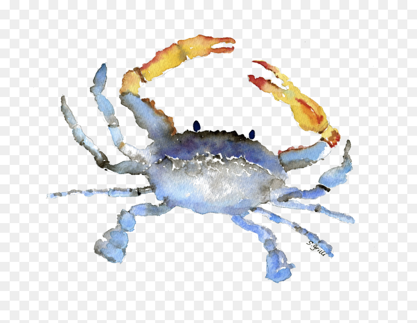 Cornelius The Crab Watercolor - Watercolor Crab Png, Transparent Png - crabs png