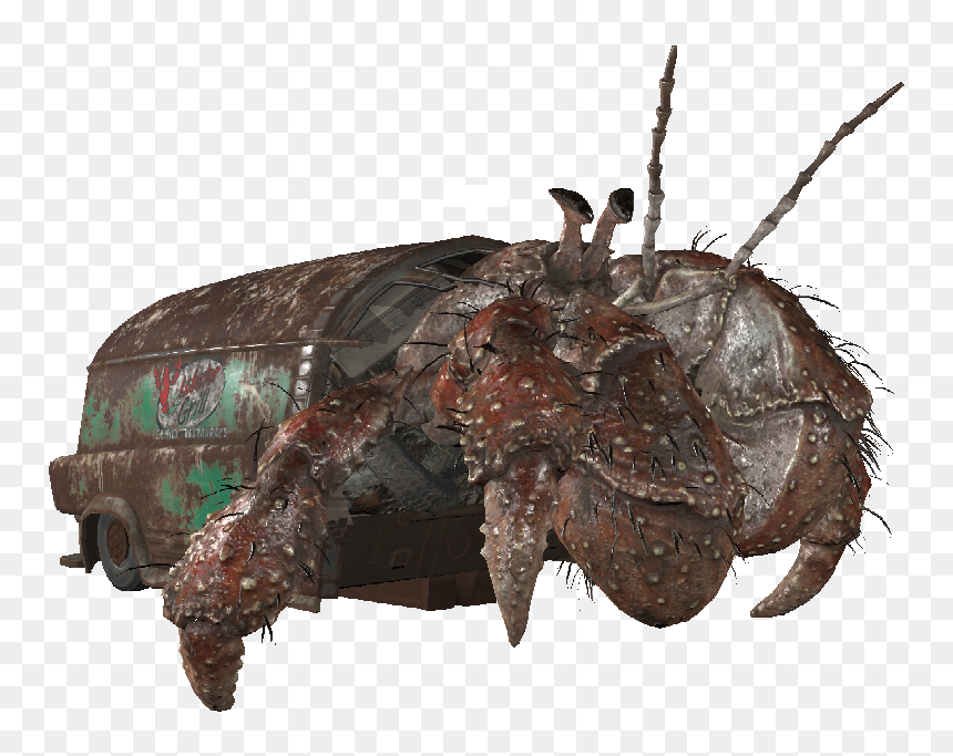 Dlc03 Enchermitcrab02 - Insect, HD Png Download - crabs png