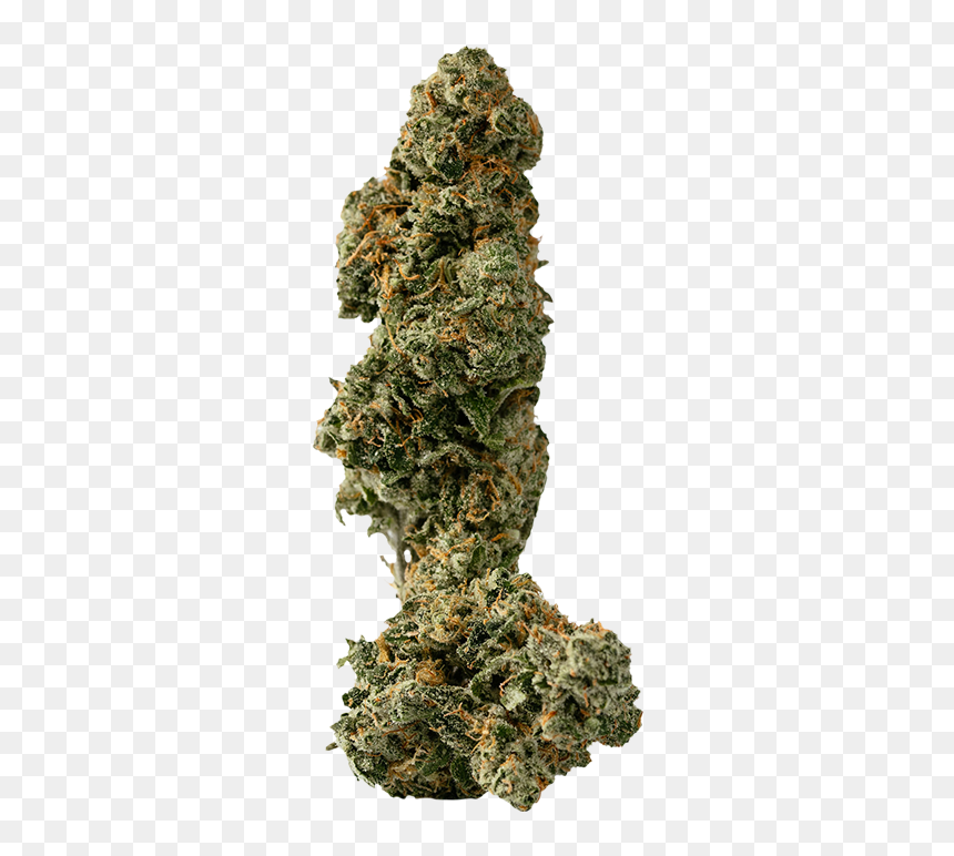 American Larch, HD Png Download - bruce banner png