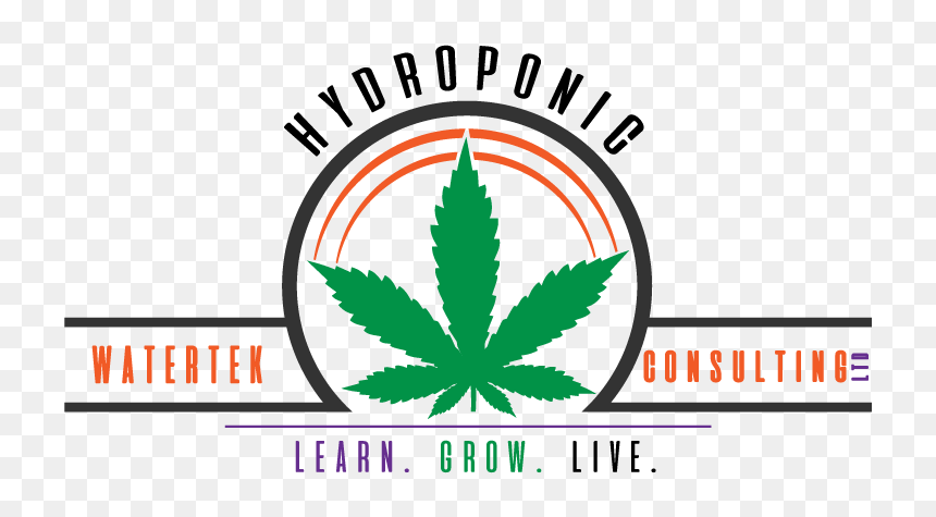Live Healthy Not High, HD Png Download - bruce banner png