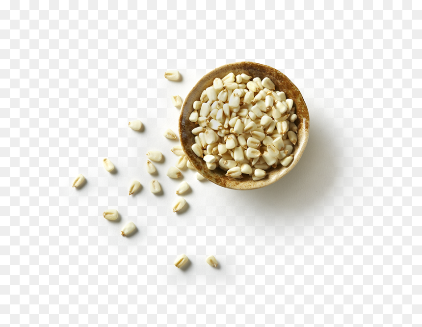 Hominy Png, Transparent Png - pozole png