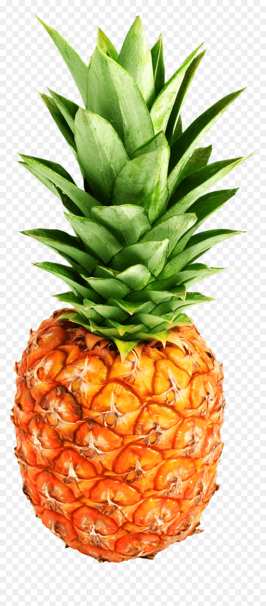 Pineapple Png Transparent Photo - Ananas Png, Png Download - pineapple .png