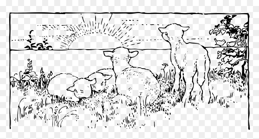Lambs At Sunrise Clip Arts - Sunrise Picture Clip Art, HD Png Download - sun rise png