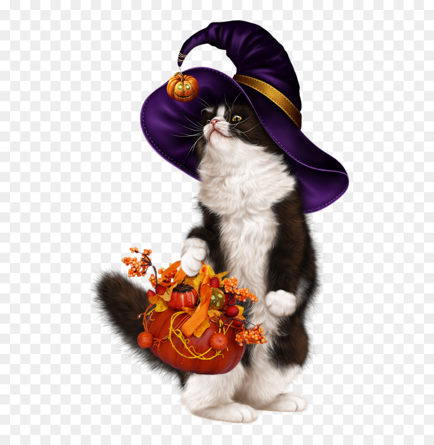 Transparent Sexy Halloween Png - Kitten, Png Download - haloween png