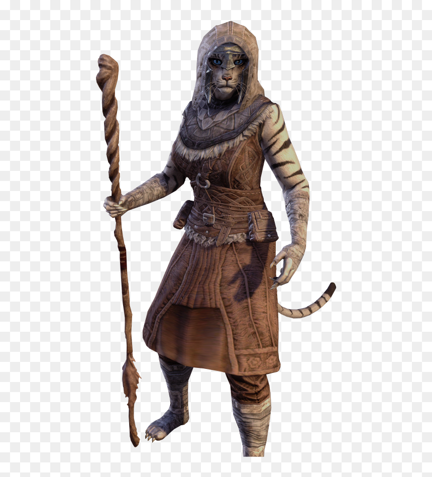 Khajiit Png, Transparent Png - elder scrolls online png