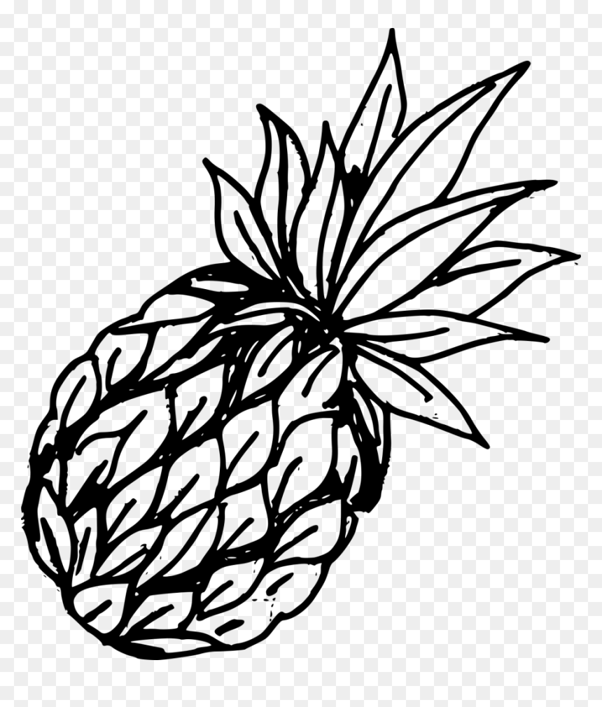 Pineapple Clipart For Drawing, HD Png Download - pineapple .png