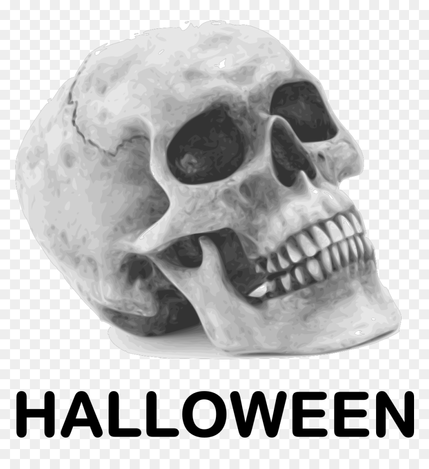 45 Year Old Skull, HD Png Download - halloween skeleton png