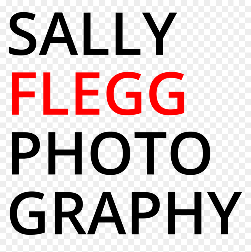 Sally Flegg Photography - Circle, HD Png Download - mcgregor png