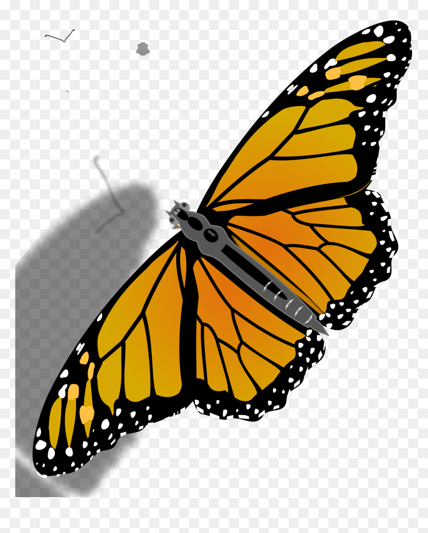 Butterfly Clip Art Transparent Background, HD Png Download - butterfly .png